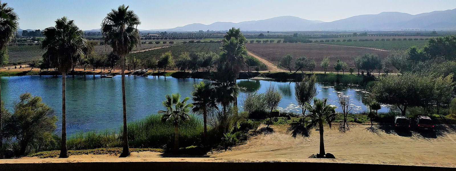 A Brief History of Mexican Wine