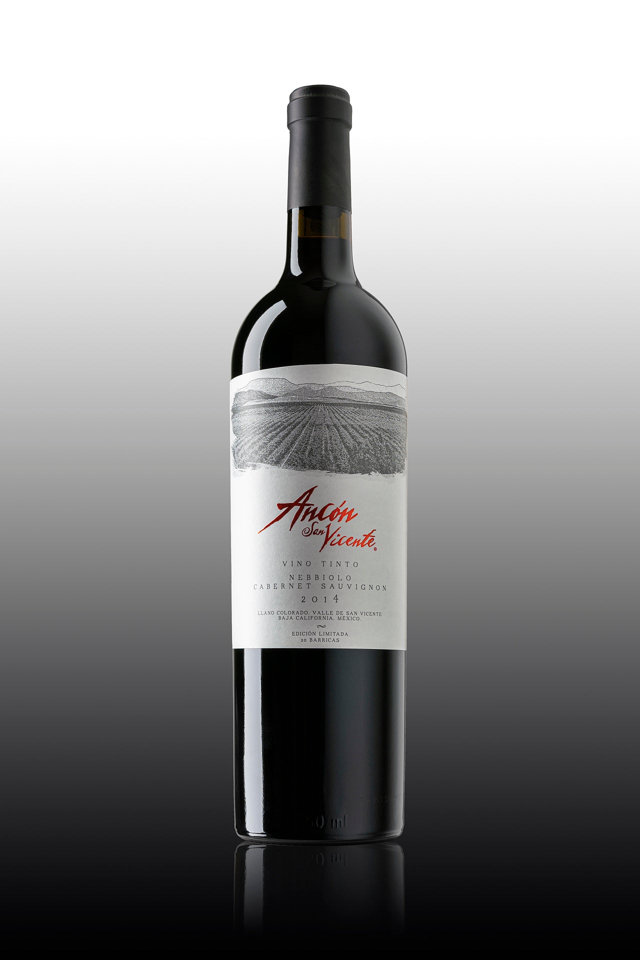 Ancón San Vicente 2014