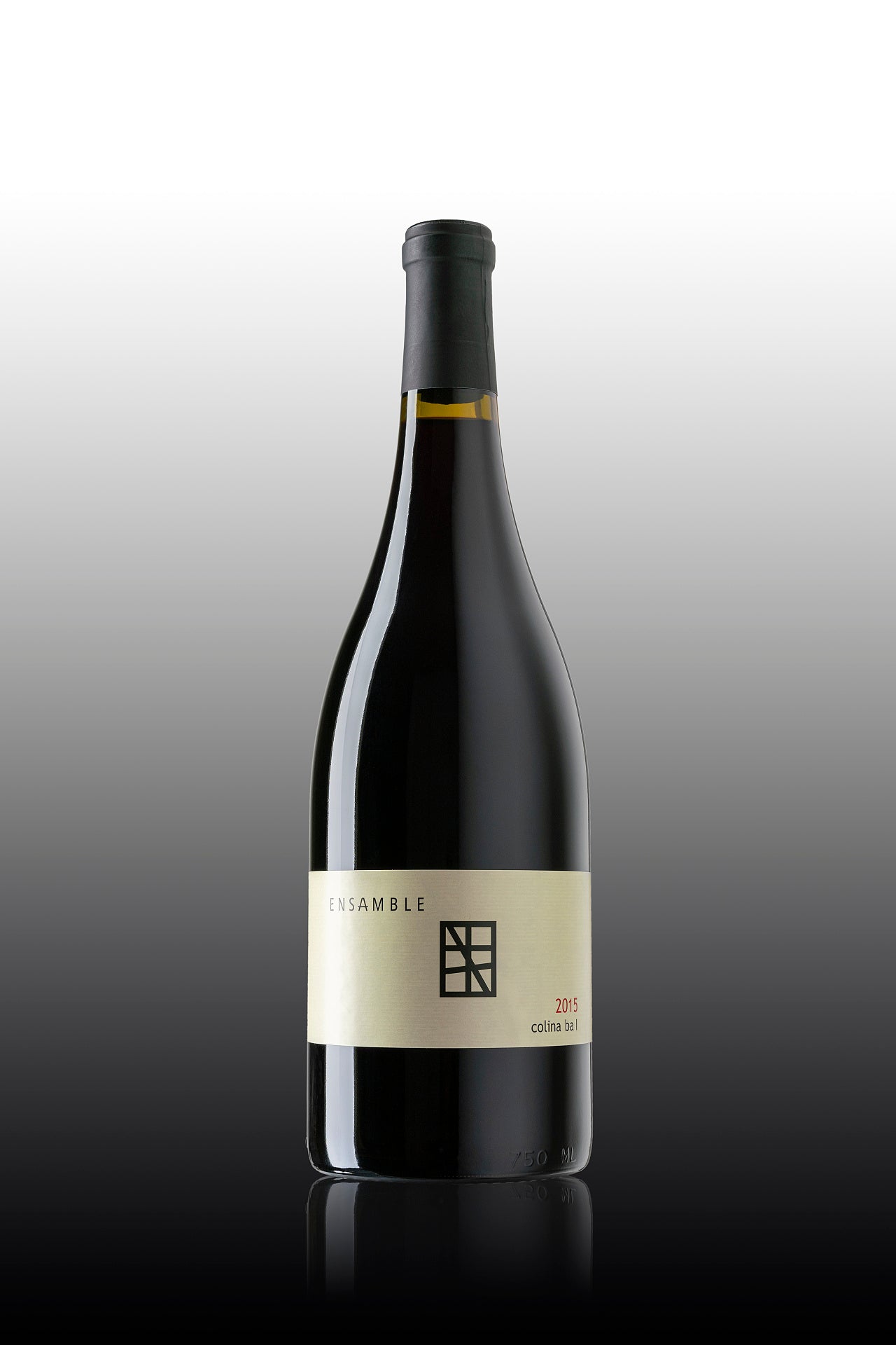 Ensamble Colina 2017